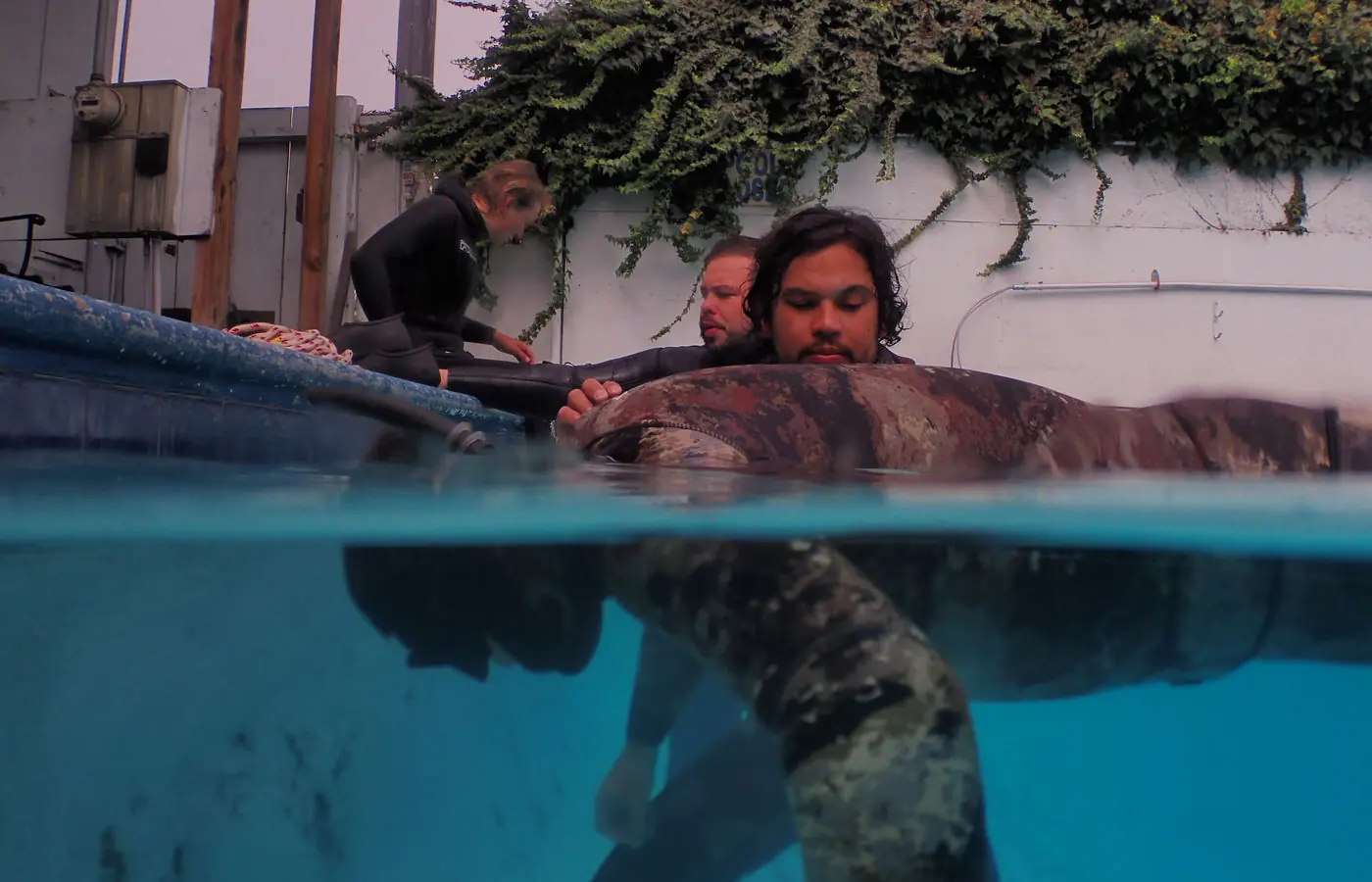 Diver practicing in the Monterey pool.