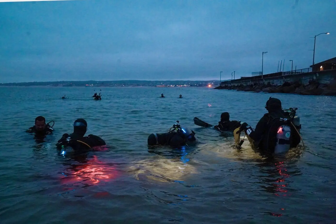Night dive with a light over open sand.